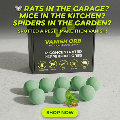 Keep Rats Out — Without Poison, Traps or Mess
